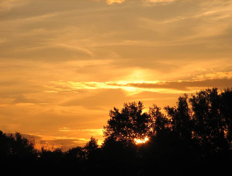 Fő galéria galéria