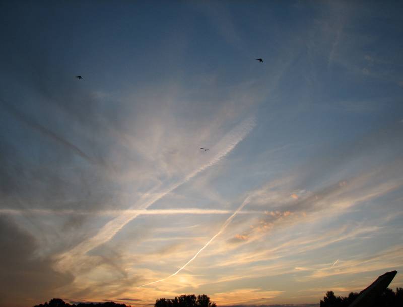 Fő galéria galéria